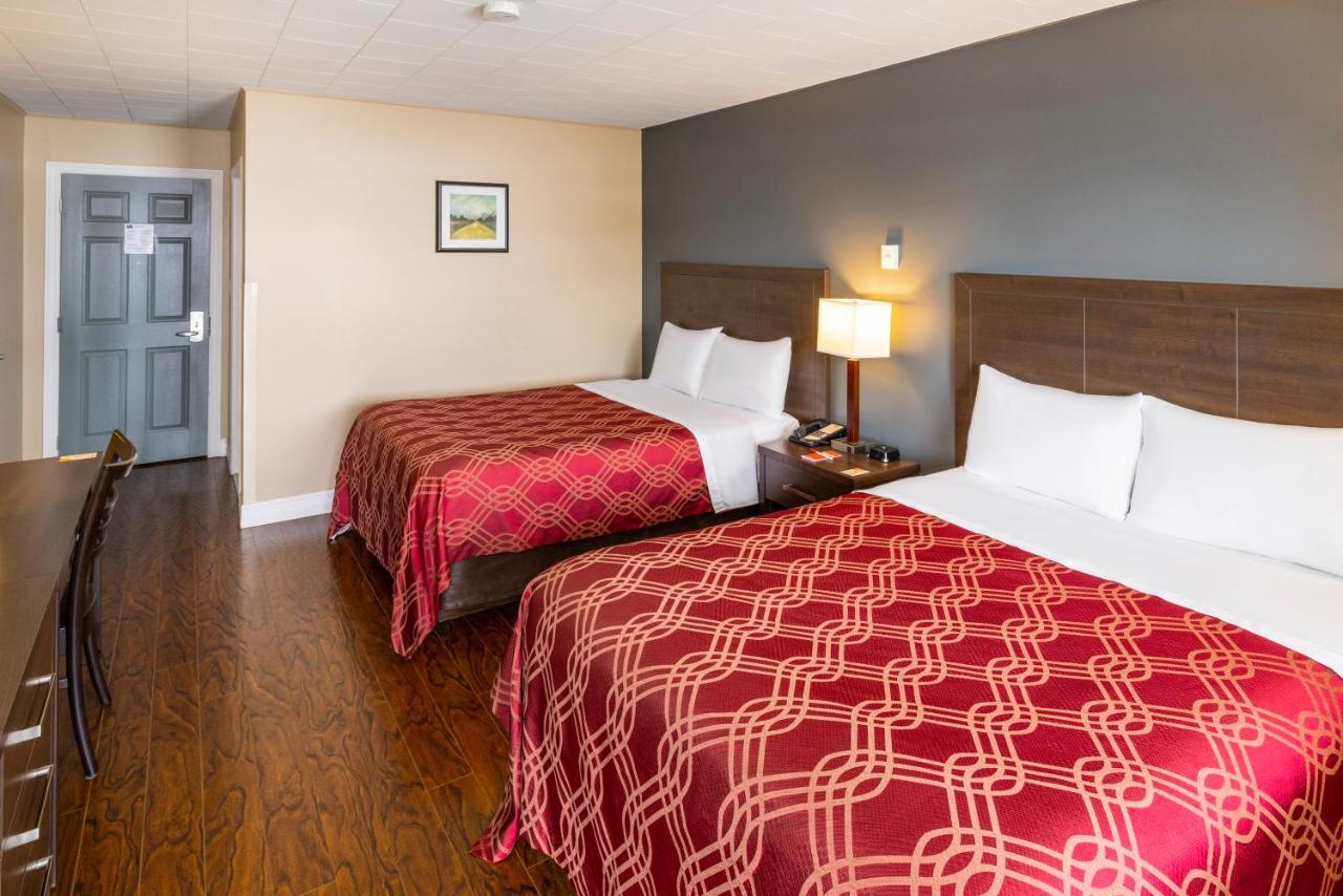 Econo Lodge Miramichi Zewnętrze zdjęcie